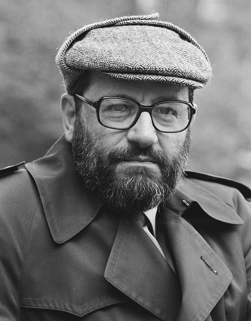 A Fuzzy Totalitarianism